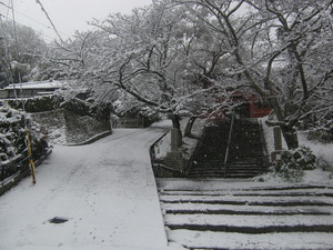古民家再生：和歌山市　　その１２　雪化粧